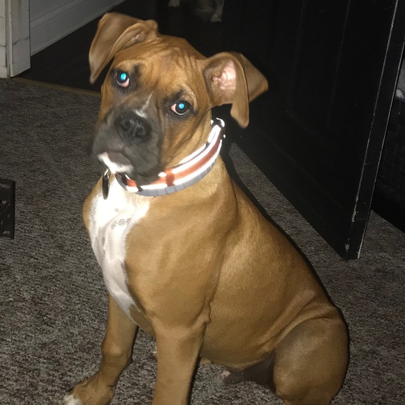 Meet your Posher, Katie - Picture 9 of 9